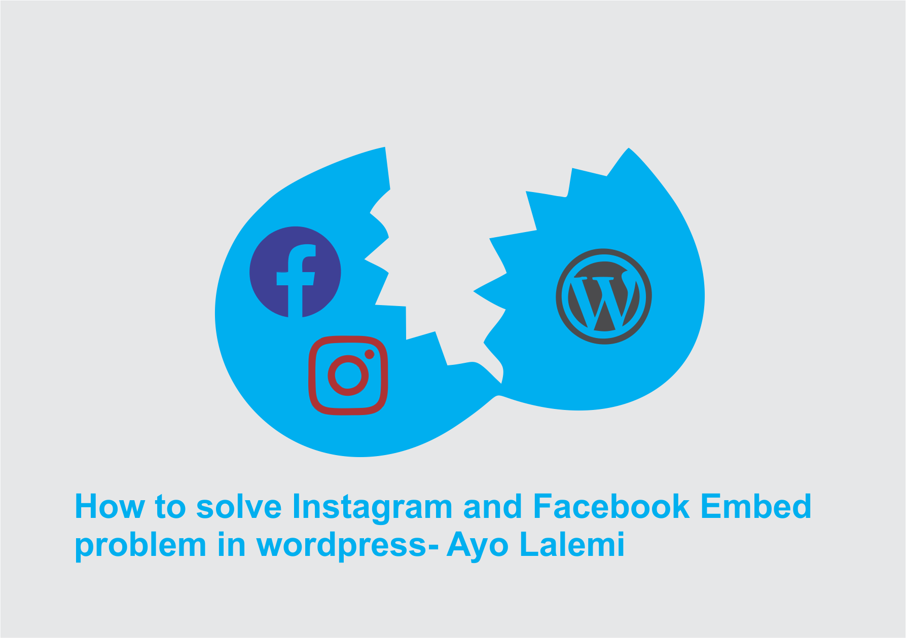 solve Instagram and Facebook oEmbed problem in wordpress