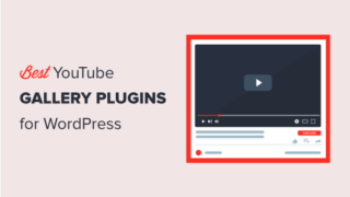 9 Best YouTube Video Gallery Plugins for WordPress