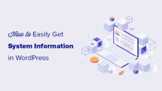 How to Quickly Get System Information for Your WordPress Site